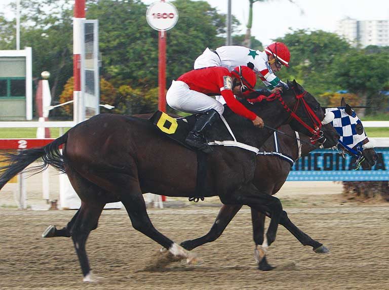 Apuestas hípicas sufren incremento en su costo