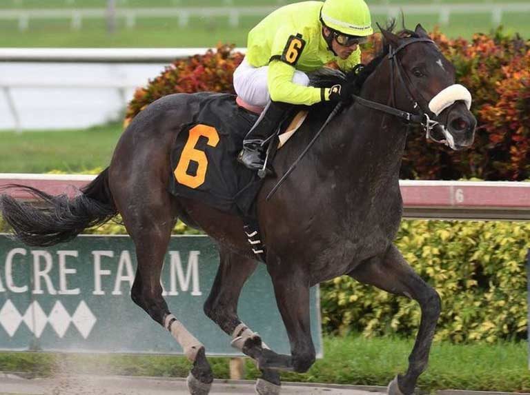Ávila buscará con Tropy Chaser el Gallant Bob