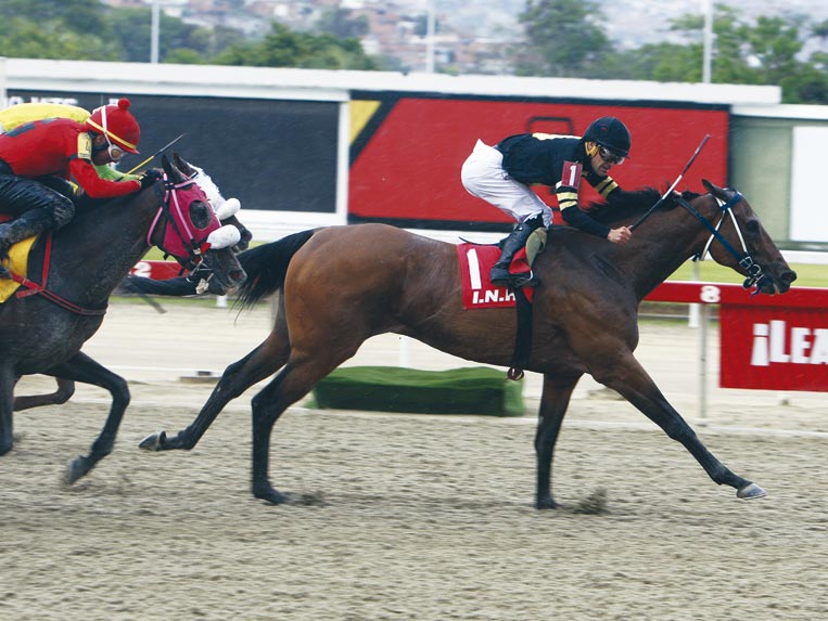 Visionaria se quedó  con el Ezequiel Zamora