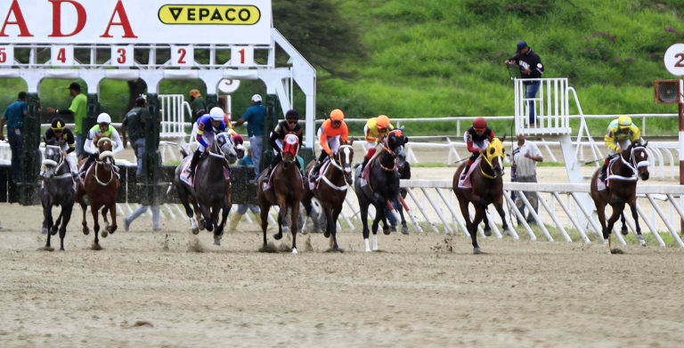 Resultados de las carreras del domingo 6 en La Rinconada