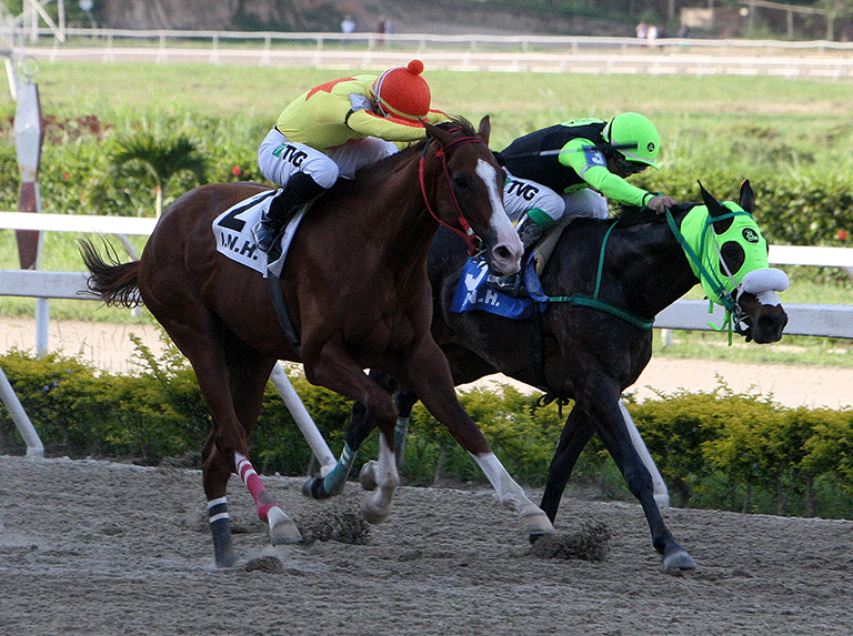 Crackstar logró el boleto para el Clásico del Caribe