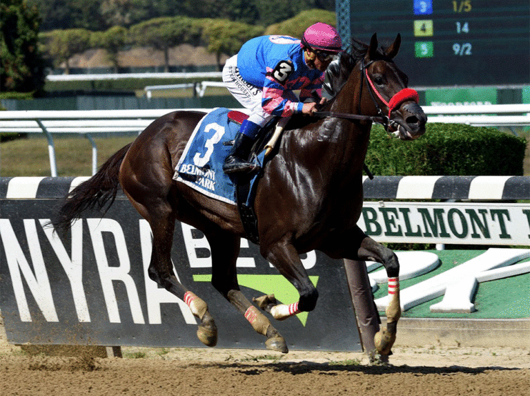 Castellano lleva once montas en la Breeders’