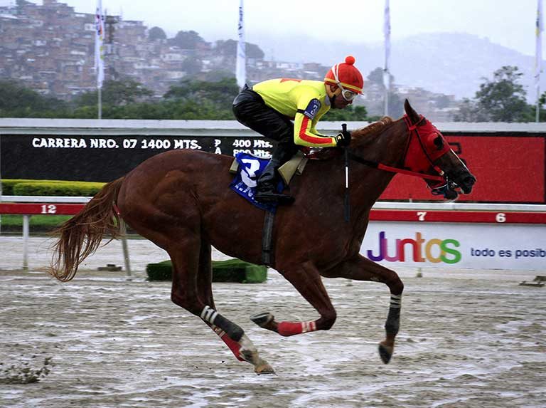 Crackspeed jugó con el lote y ganó el Cipriani