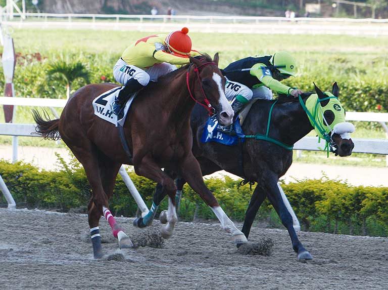 El potro Crackstar no va al Clásico del Caribe
