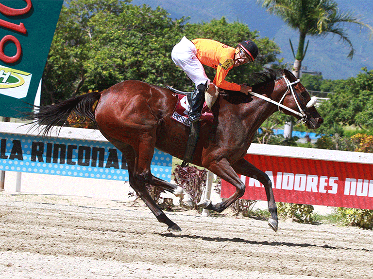 Endrygol por la sorpresa en Clásico Simón Bolívar
