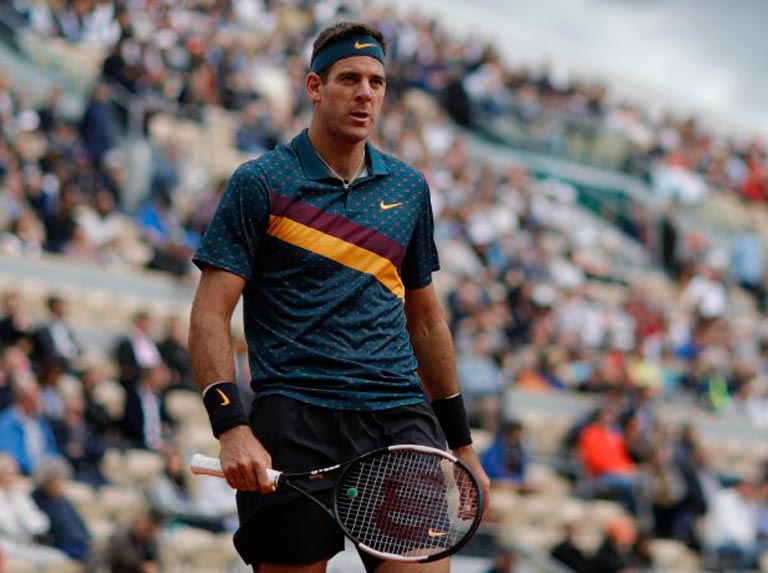 Juan Martín del Potro