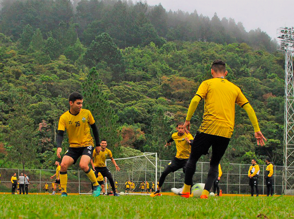 Tachira