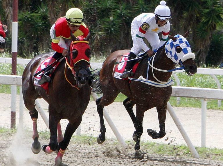 Tap Daddy se lesionó y se irá a la cría