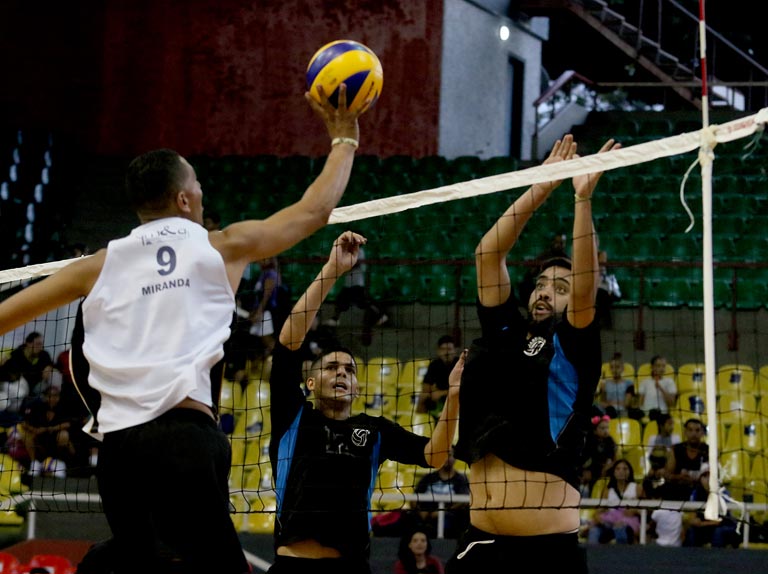 Voleibol