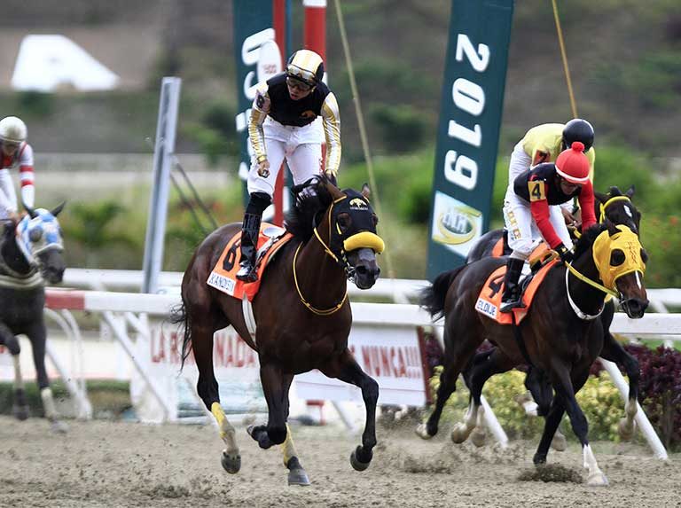 Kandinsky y Crackstar se medirán el domingo