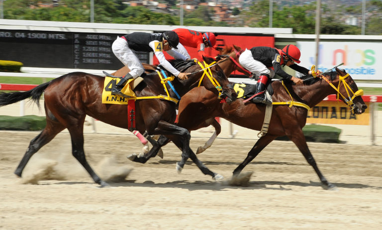 Resultados de las carreras del sábado 23 de noviembre (+tweet)
