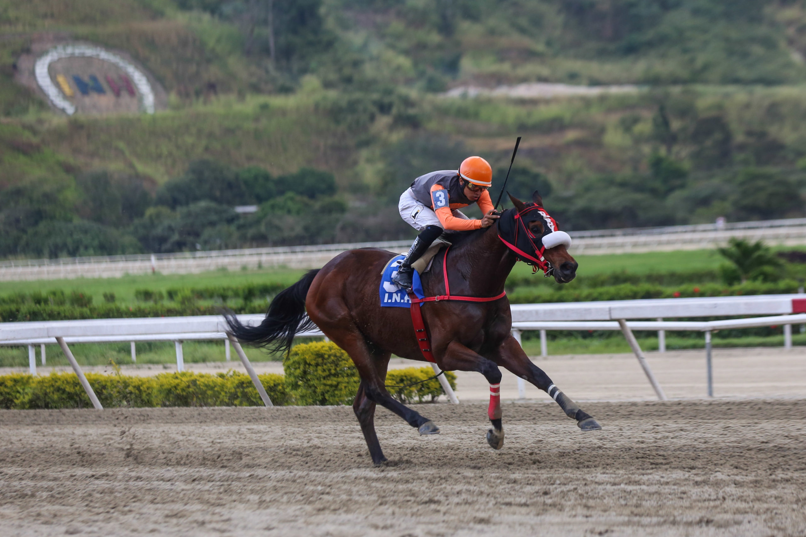 Clasico Gradisco, Caballo Gregoriano,Jinete Capriles 24-11-2019_WEB-3