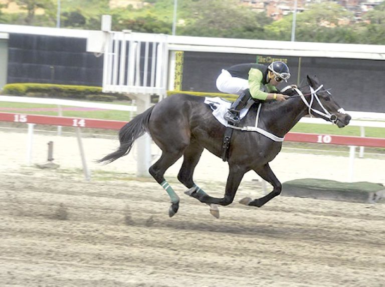 A Miami se fueron Doctor Sotelo y Castanyer