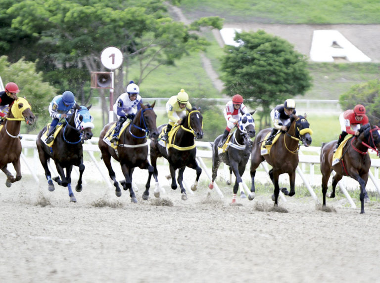 Líder y Mundo Hípico arrasaron el domingo