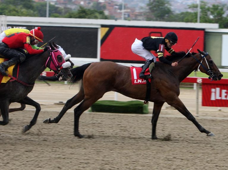 Visionaria buscará otra selectiva en La Rinconada