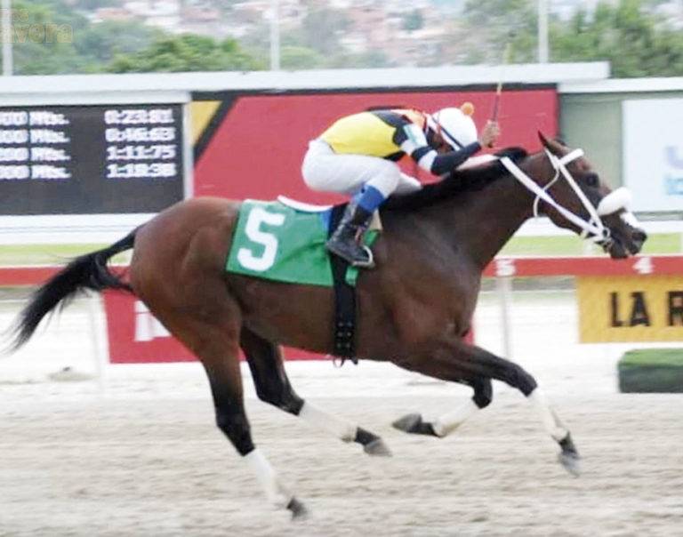 The Boss por la sorpresa en el Sprinters Hinava