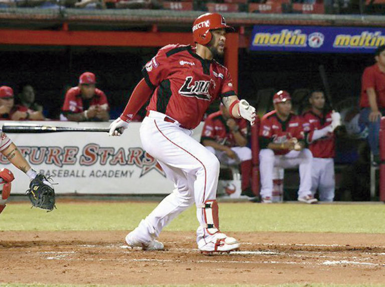 Arcia brilla entre los receptores crepusculares