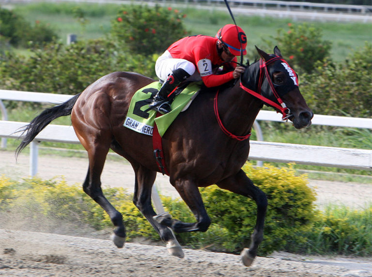 Gran Omero llegó sexto en Gulfstream Park