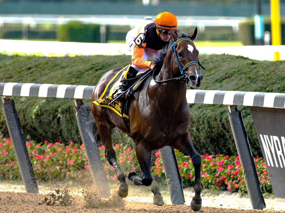 ImperialHint