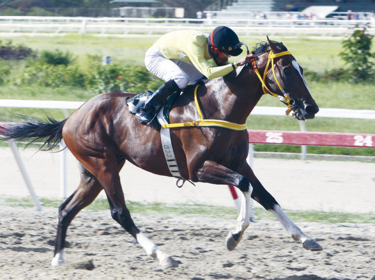 My Racing Mate resolvió el Clásico Burlesco
