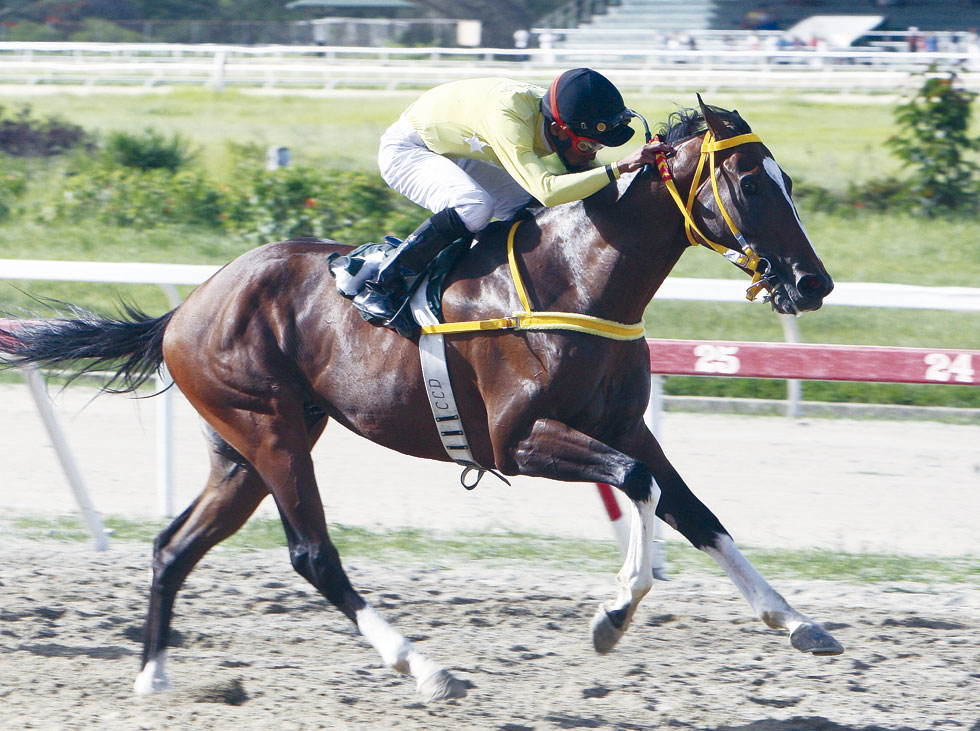 My-Racing-Mate-Clásico-Nota-abridora---Página-15-Líder--lista