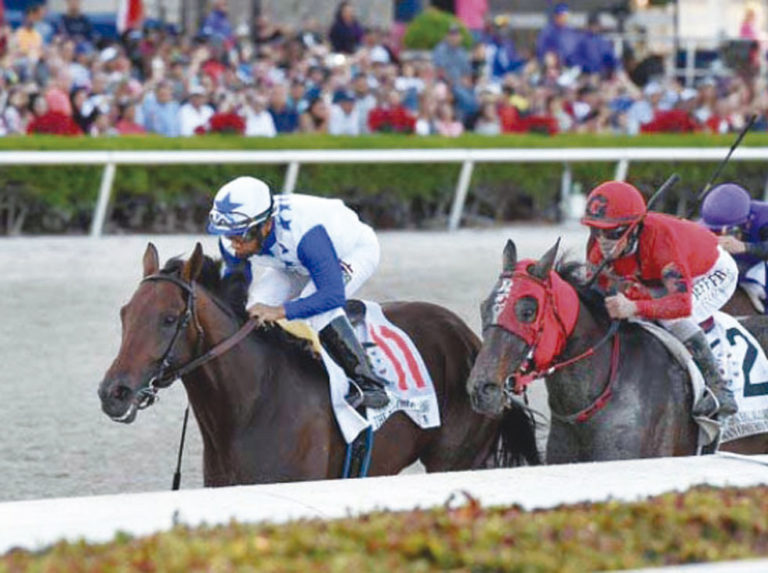 Gran Omero hará campaña en Gulfstream Park