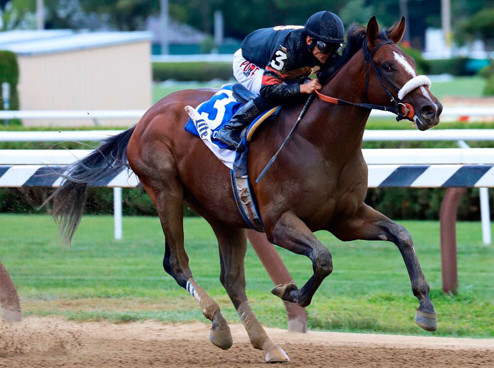 Hipismo....