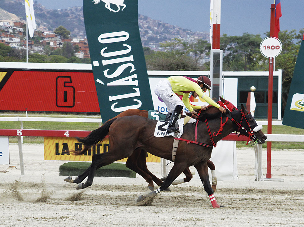 Hipismo
