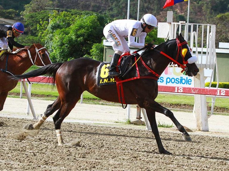 Traqueos a millón en el coso de La Rinconada