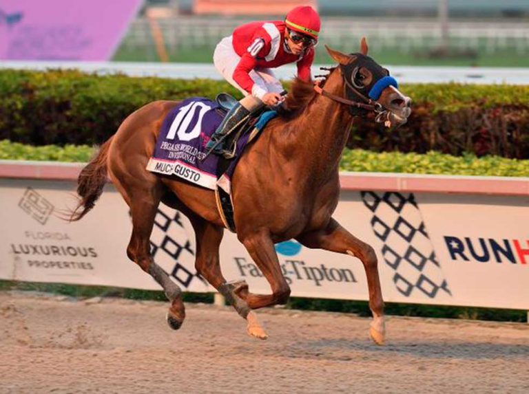 Mucho Gusto galopó  la Pegasus World Cup