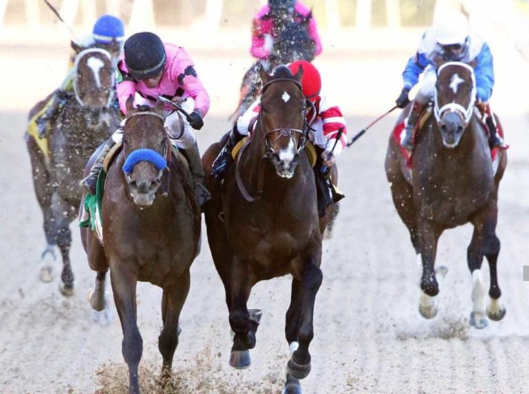 Dos criollos mañana en la Pegasus World Cup