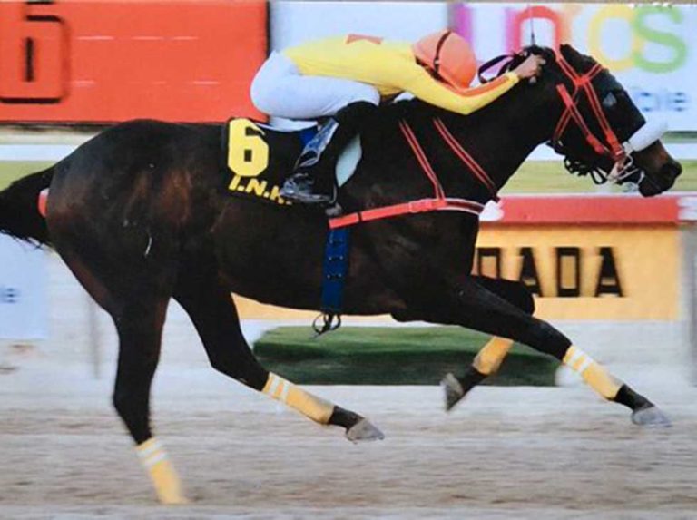 Raffsttar triunfó como un campeón