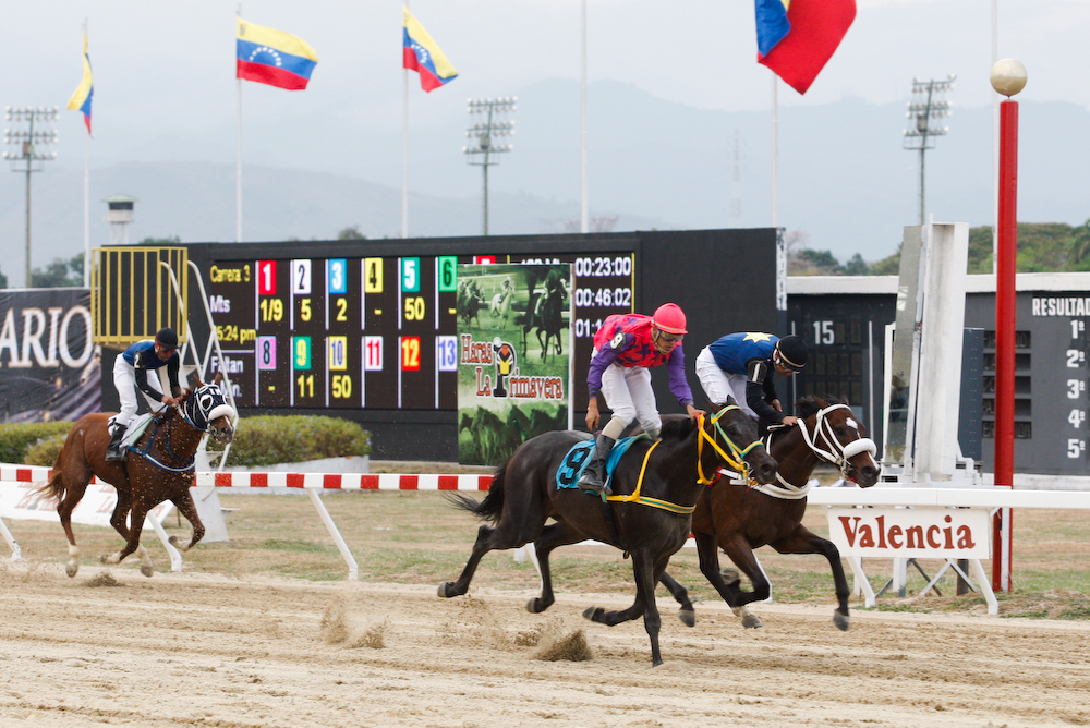 Premio Casquillo de Oro 2011, hipódromo de Valencia