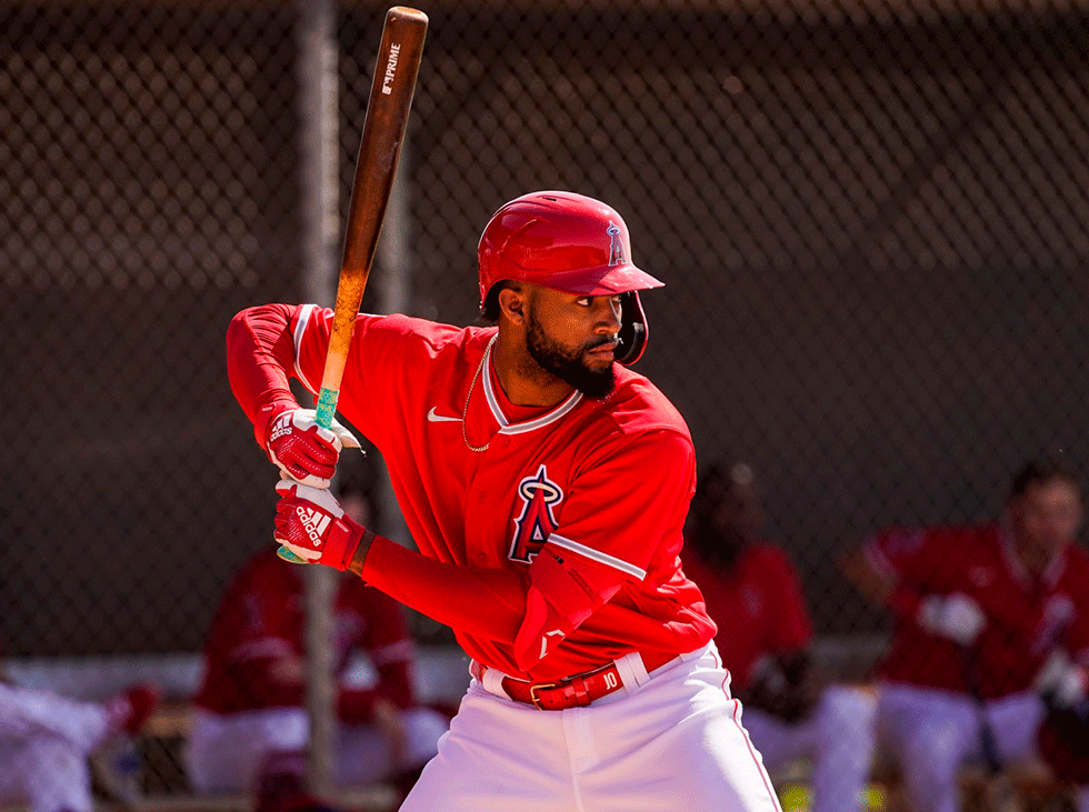 Joe Adell