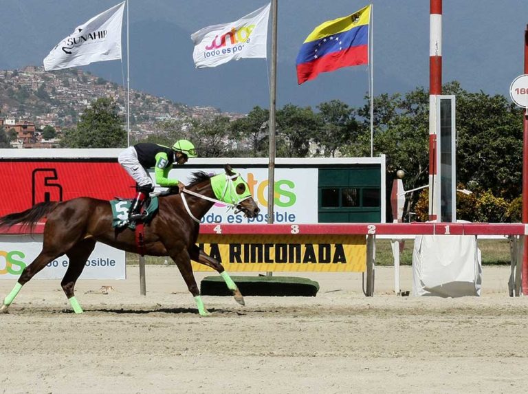 Lesionada La de Horacio y será enviada a la cría
