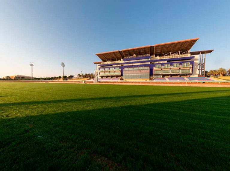 Maximun Security va 9/5 en la Saudi Cup