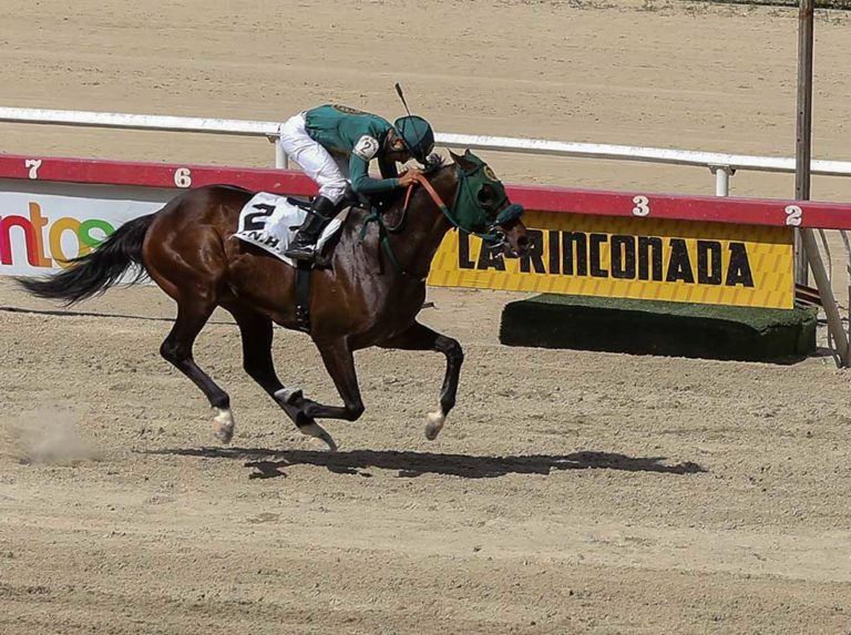 Sun Cab venció fácil en la Copa El Gran Sol