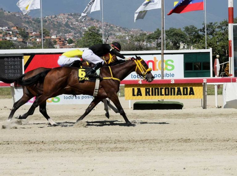 Solo cuatro anotados en el Copa de Oro