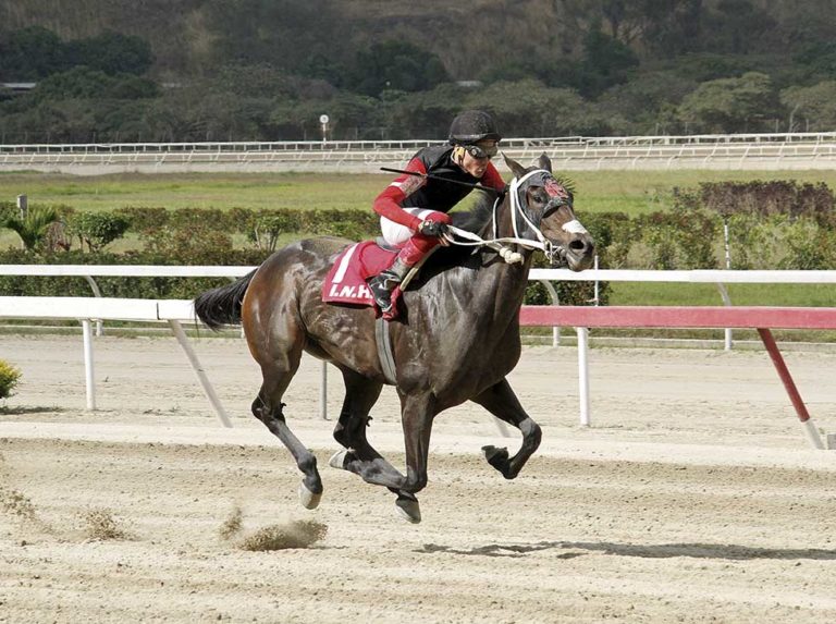 Lasciati Andare irá  por su segundo triunfo