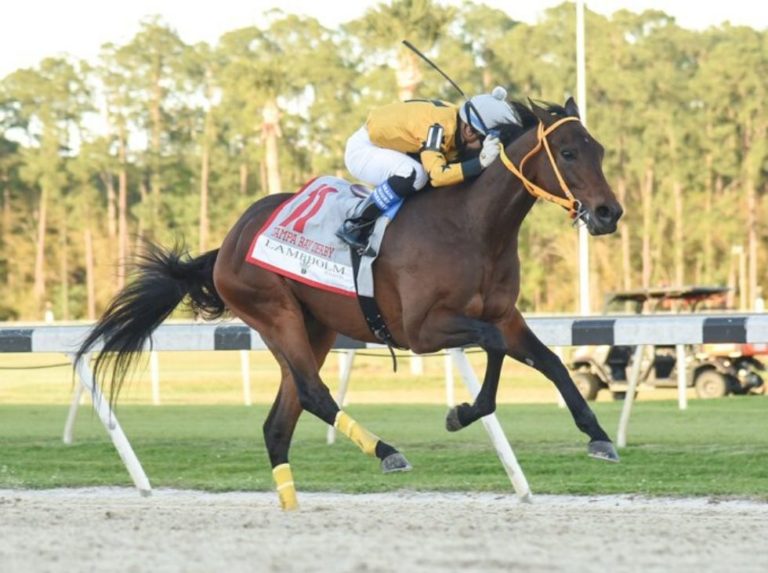 Tampa Bay Downs