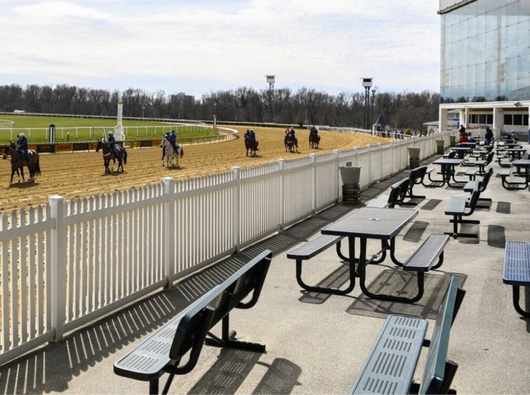 El Laurel Park suspendió su programación habitual