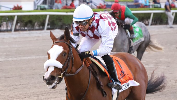 Tiz The Law respondió en el Florida Derby