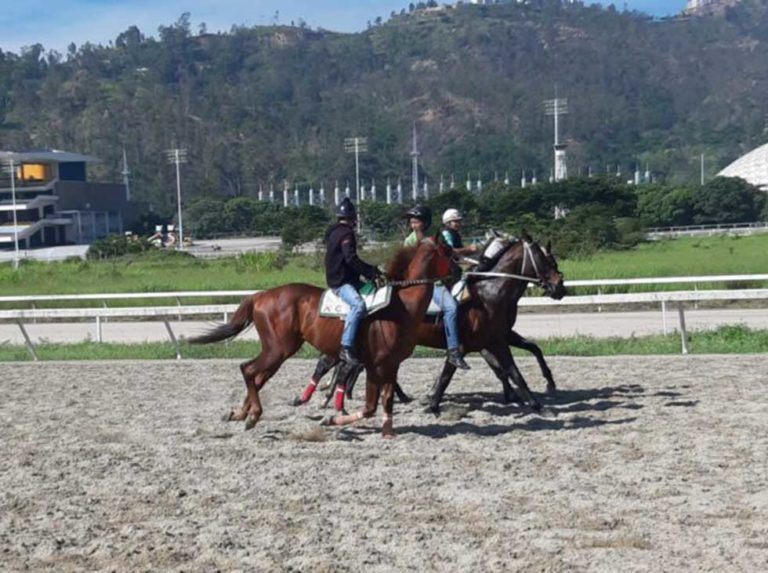 Se reanudaron los traqueos en Caracas y Valencia
