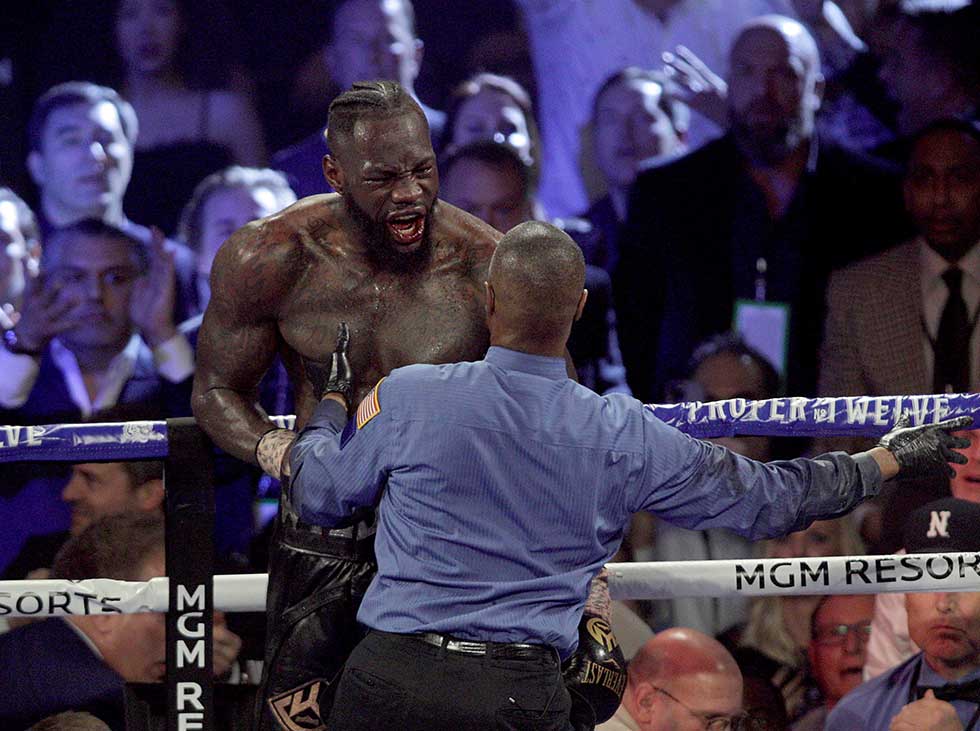 WILDER3