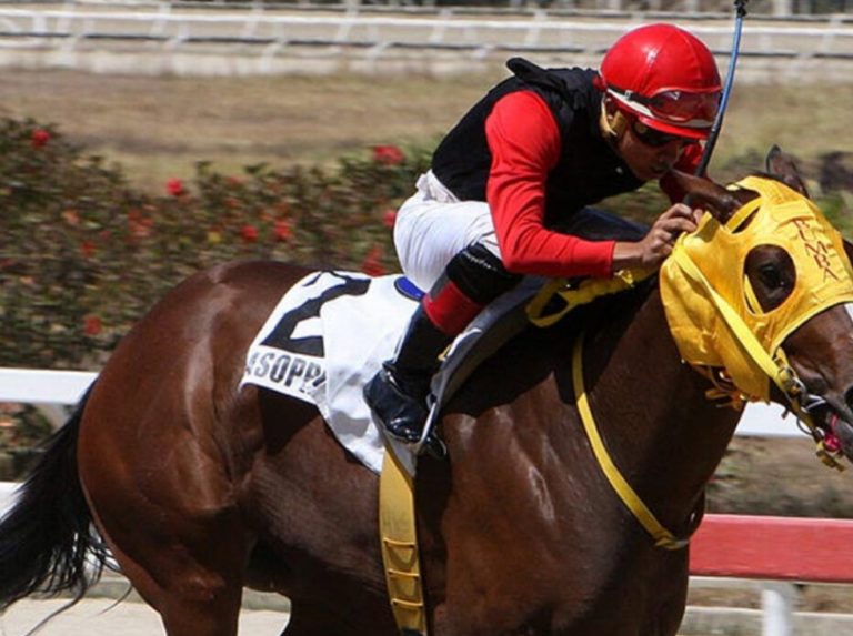 Cacciatora anotada este domingo en Gulfstream