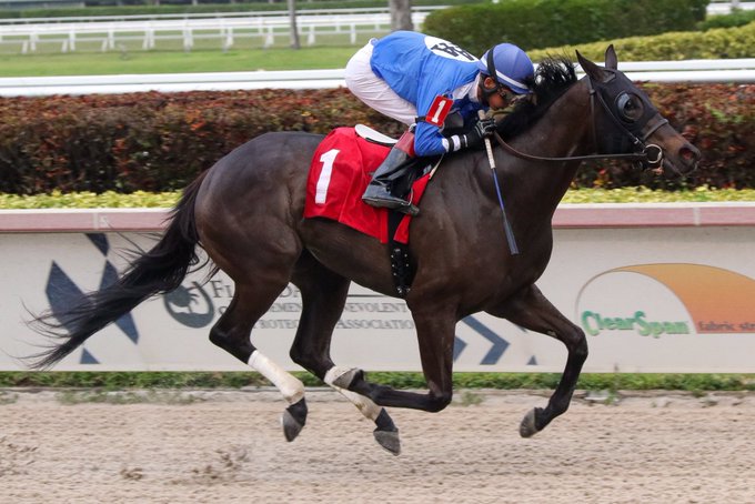 Boerne ganó su segunda competencia en Gulfstream Park (+Video)