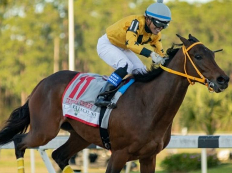 King Guillermo y Trophy Chaser