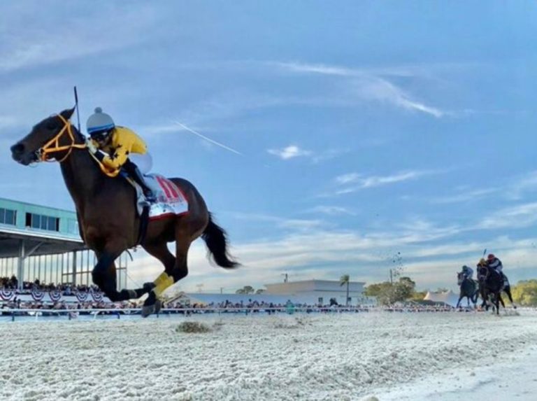 Derby de Arkansas con 99 nominados