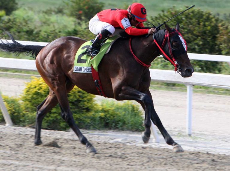 Gran Omero regresa a las pistas el jueves 9 en Gulfstream Park