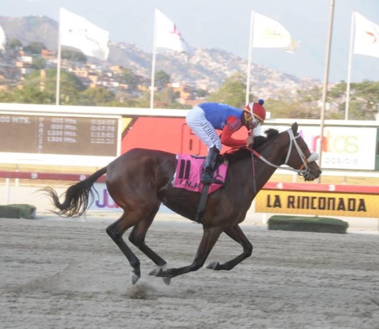 Iván Pimentel jr. no baja la guardia